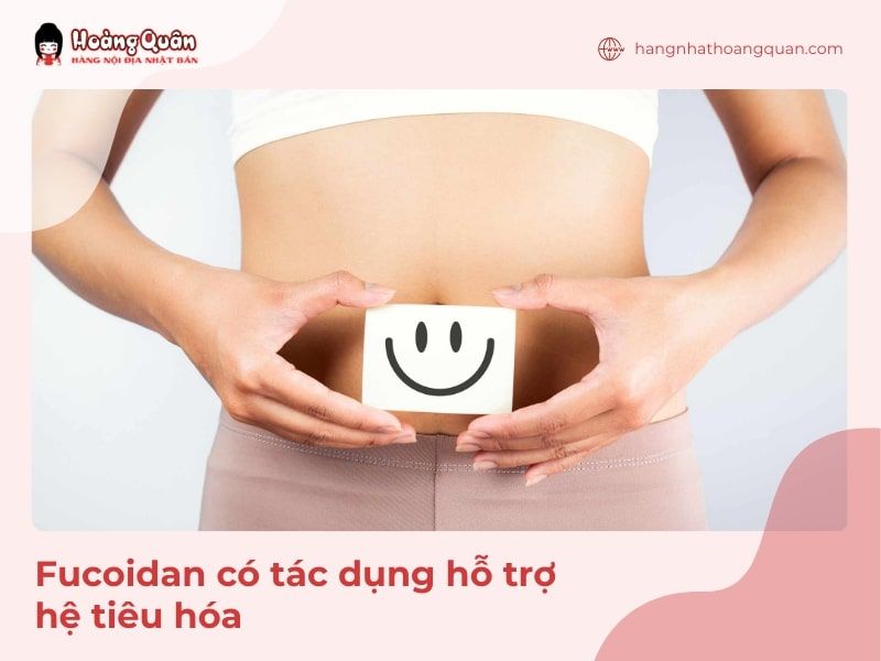 Fucoidan Nhật Bản hỗ trợ hệ tiêu hóa