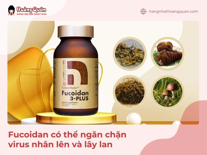 Tảo Fucoidan ngăn chặn virus