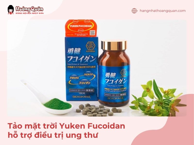 Tảo mặt trời Yuken Fucoidan hỗ trợ ung thư