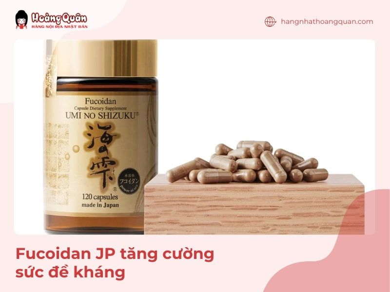 Viên bảo vệ sức khỏe Fucoidan JP tăng cường sức đề kháng