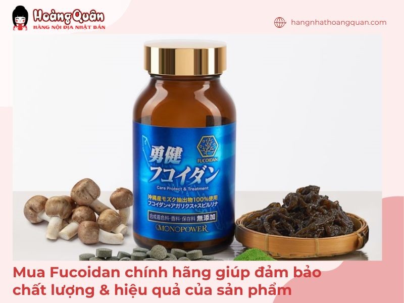 Mua Fucoidan chính hãng giúp đảm bảo chất lượng & hiệu quả của sản phẩm