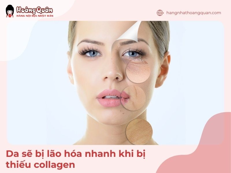 Nên cung cấp thực phẩm chứa nhiều collagen nhất sau 30 tuổi