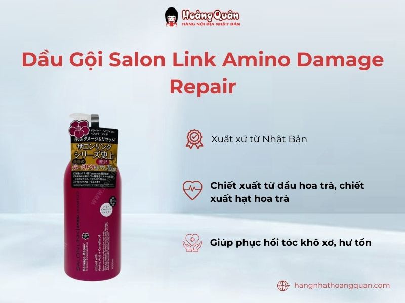 Dầu gội Salon Link Amino Damage Repair phục hồi tóc xơ