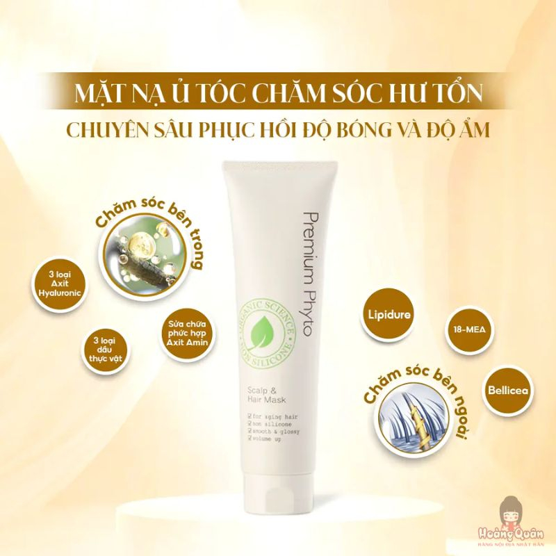 mat-na-u-toc-da-dau-ampleur-premium-phyto-scalp-150g.jpg